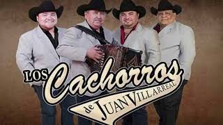 Los Cachorros de Juan Villarreal  Corridos de Oro EPICENTER ⚠️LOUD BASS🔊 [upl. by Toback]