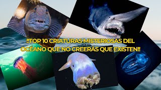 🌊 Top 10 Criaturas Más Increíbles y Desconocidas del Océano 🐙  Misterios del Mar Profundo [upl. by Marissa]