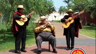 JAIME GUARDIA Oreganito del valle Huayno Ayacucho [upl. by Irina347]