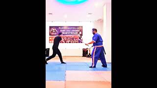 Kali  Arnis Tirada 12 basic strikes with double sticks flow drill [upl. by Merrow]