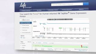 Finding the Right TaqMan® Gene Expression Assay [upl. by Morie]