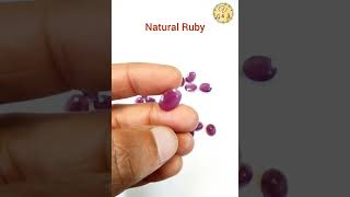 Buy Natural Unheated amp Untreated Ruby at Wholesale Rates astrology ruby birthstone vedagems [upl. by Ushijima]