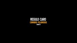 REGULO CARO quotCorridos PELIGROSOSquot 🧨🔥💣 [upl. by Ttoille]