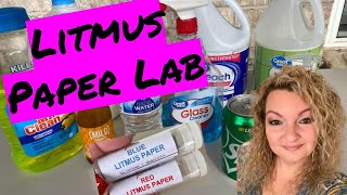 Litmus solution Natural indicator  Acids bases and salts  Chemistry  Khan Academy [upl. by Marentic]