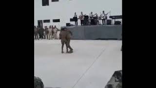 Militares bailando chistosos [upl. by Riggs]