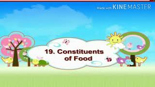 Std 5th EVS 1Science Lesson 19 Constituents of food part 1 🥗🍱🌾 [upl. by Eugene862]