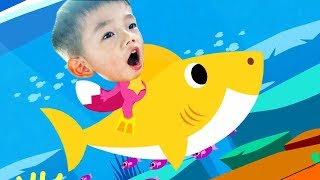 We Love Pinkfong Baby Shark Baby to Kid Video Sing and Dance Baby Shark Song 鲨鱼宝宝 鲨鱼一家 [upl. by Nyleahs]