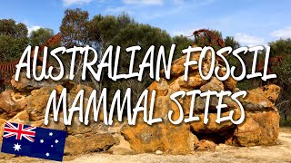 Australian Fossil Mammal Sites  UNESCO World Heritage Site [upl. by Srini]