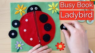 NoSew Felt Ladybird Busy Book [upl. by Ydisac710]