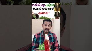 റോസ്മേരി വാട്ടർ പുരട്ടിയാൽ തലമുടി വളരുന്നത് എങ്ങനെ  Rosemary Water for Hair Growth [upl. by Rafat]