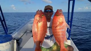 Commercial Fishing in Belize Snappers Wahoo and more Aboard Cstch N Bills [upl. by Lemkul]