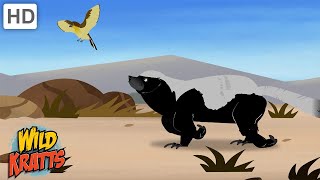 Amazing Adaptations Part 110  How Animals Survive in the Wild  Wild Kratts [upl. by Swirsky471]