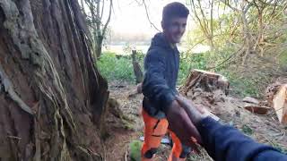 Sol and Sam Cut trees down pt 1 [upl. by Cosetta]