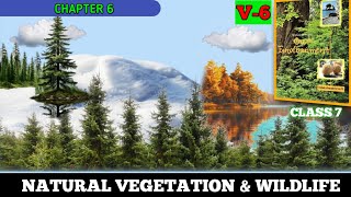 🌍 V6 Natural Vegetation amp Wildlife  NCERT Series for UPSC  Class 7 Geography 🌳🦅 [upl. by Chard]