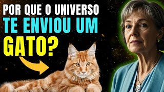 CHOCANTE O Poder Espiritual dos GATOS e Por que Eles entram em sua vida 🐱 [upl. by Liponis]