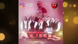 Ahogando penas Grupo Auris [upl. by Clio]