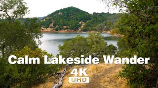 Wander through Oaks Madrone and California Bay Trees at Lake Sonoma walkinthewoods hiking [upl. by Clippard]