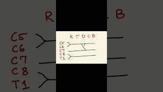 Brachial plexus part1 neetpg science mbbsstudent medicine [upl. by Platus]