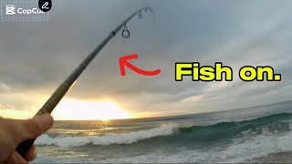 The weekend lure Angler 1st December shad bite [upl. by Isidor731]