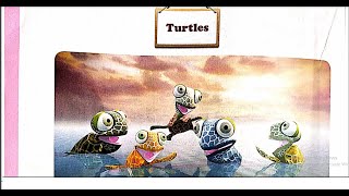 Astragen Class1st standard English TURTLES Chapter4 Rhyme  Poem [upl. by Paola]