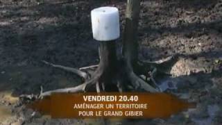 Aménager un territoire pour le grand gibier [upl. by Naltiak]