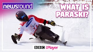 What is Paraski  Winter Paralympics  Newsround [upl. by Mok430]