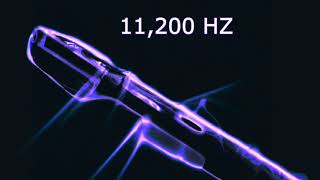 🐕 Dog Whistle Sound with 11200 Hz Tone  1 Hour [upl. by Eniahs]