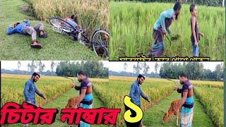 চিটারের কান্ড দেখুন l chitar l Latest bangla funny video 2024 funny video banglasukhatitv 😅🤣😄 [upl. by Alton]