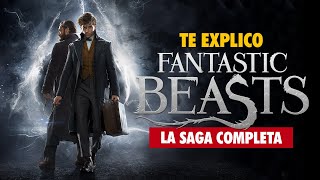 Te Explico La Saga de ANIMALES FANTÁSTICOS  Resumen de Fantastic Beasts 1 y 2 [upl. by Bauer]