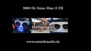 9000 Hz 9kHz Sinus Ton Wave 0DB für Hifi Audio Test Testton 30sec [upl. by Artaed]