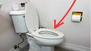 Top 5 toilet cleaning hacks that ACTUALLY work [upl. by Ronnie845]