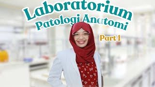 Mengenal Laboratorium Patologi Anatomi part 1 [upl. by Atiuqer]