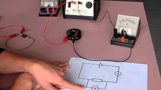 setting up ohms law circuit [upl. by Pennington]