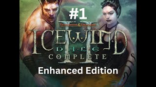 Icewind Dale 2 Enhanced Edition Part 1 Return to Targos [upl. by Nosrettap]