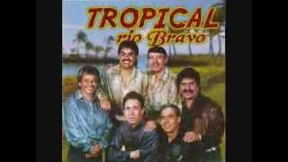 Ave Pave  TROPICAL RIO BRAVO [upl. by Hercules]