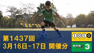 【toto】第1437回 toto予想 totoGOAL3予想も 【Jリーグ】 [upl. by Aneela]