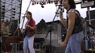 Lou Diamond Phillips  Live at Farm Aid 1993 [upl. by Oirobil]