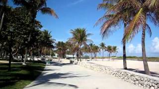 Lummus Park South Beach  Miami Beach FL [upl. by Gerhan]