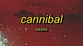 Kesha  Cannibal Lyrics  whenever you tell me im pretty [upl. by Pappas282]