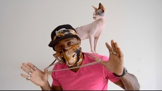 iAmMoshow  Cat Attack Official Video [upl. by Leahcimal622]