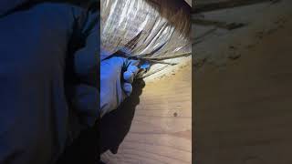 Termites Eating in Crawlspace [upl. by Naut]