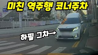 노라준카 블랙박스이래서 과학인 건가요｜블랙박스사고영상 [upl. by Annodas653]