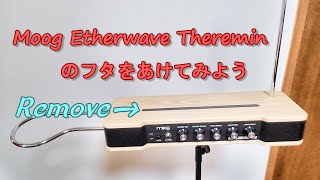 Etherwave Theremin のフタをあけてみました  Access Calibration Points on the Etherwave [upl. by Ayokal]