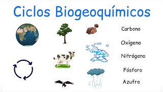 ♻️ Ciclos Biogeoquímicos  BiologíayEcología [upl. by Ynettirb]