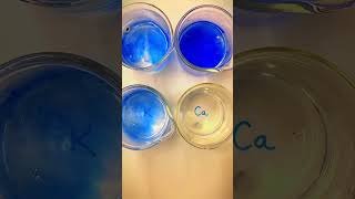 Reaction of Alkali amp Alkaline earth metal with water See the wild reactions😱 science chemistry [upl. by Eita]