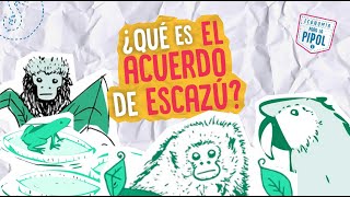 Entrevista ¿Qué es el acuerdo de Escazú  Economía para la Pipol [upl. by Brass]