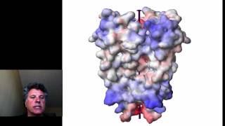 722  Ion Channels Cell Signal Transduction [upl. by Oulman]