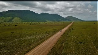 Driving through the Rupununi Savannah surrounded by wildlife Road to lethem  Guyana [upl. by Larrej]