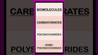 Carbohydrates Biomolecules Biochemistry shorts  Monosaccharides Disaccharides Polysaccharides [upl. by Cynth]