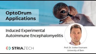 OptoDrum Applications Induced Experimental Autoimmune Encephalomyelitis EAE [upl. by Pollie]